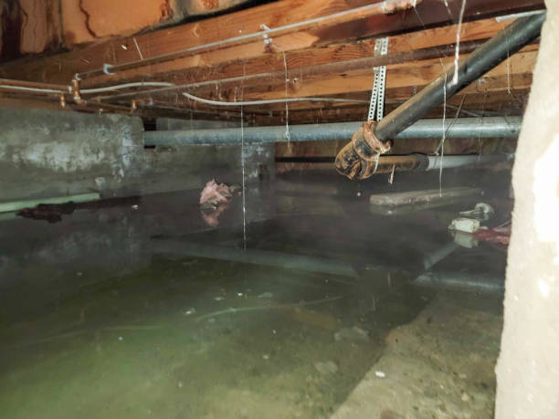 Best Fire Damage Restoration  in East Aurora, NY