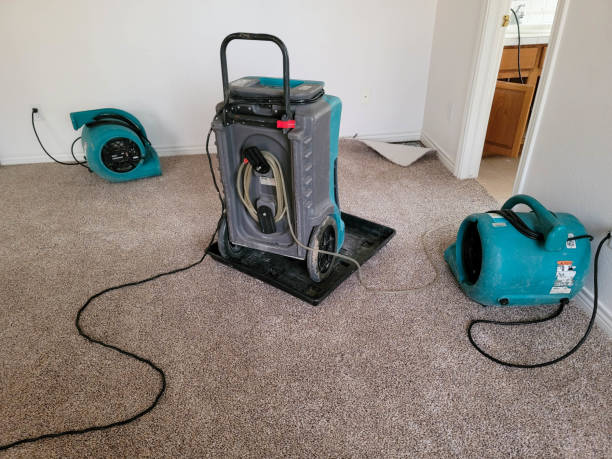 Best Water damage restoration experts  in East Aurora, NY
