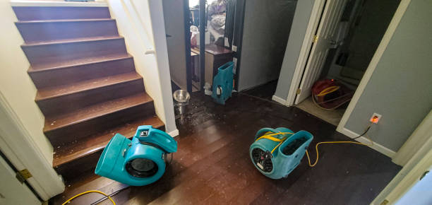 Best Water damage restoration near me  in East Aurora, NY