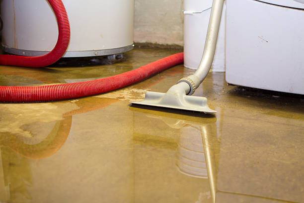 Best Sewage cleanup and water damage restoration  in East Aurora, NY