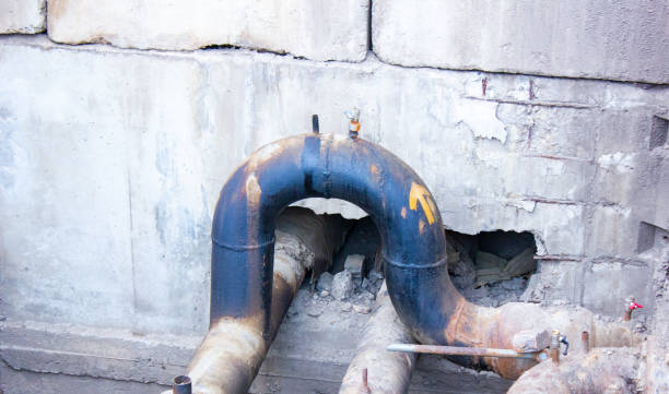 Best Professional water damage repair  in East Aurora, NY