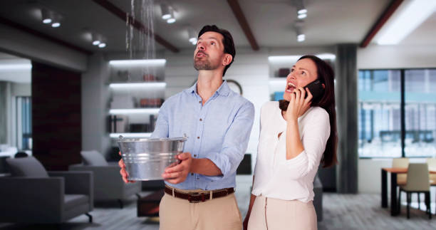 Best Water damage restoration cost  in East Aurora, NY